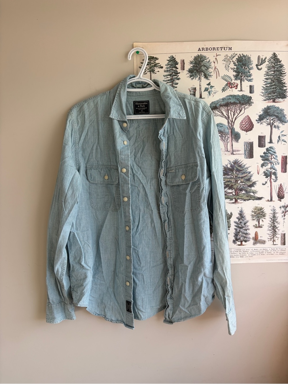 Abercrombie & Fitch Light Blue Denim Button Down Medium